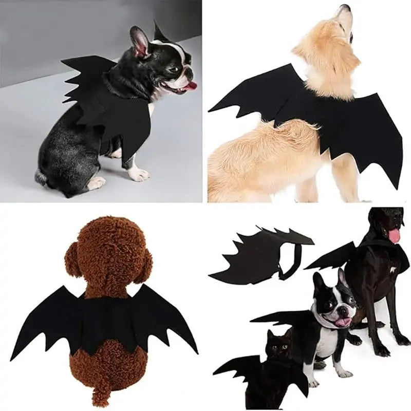 Dog Cat Bat Wings for Halloween Party Decoration, Pet Collar Leads Cosplay Bat Costume,Cute Puppy Cat Dress Up Accessories - Nova Trendz