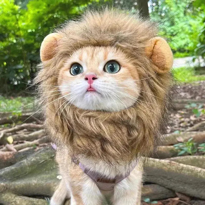 Cat Costume Cute Lion Mane Cat Wig Hat Cosplay Clothes Cap Dress Up Puppy Kitten Halloween Christmas Party Decoration Supplies Nova Trendz