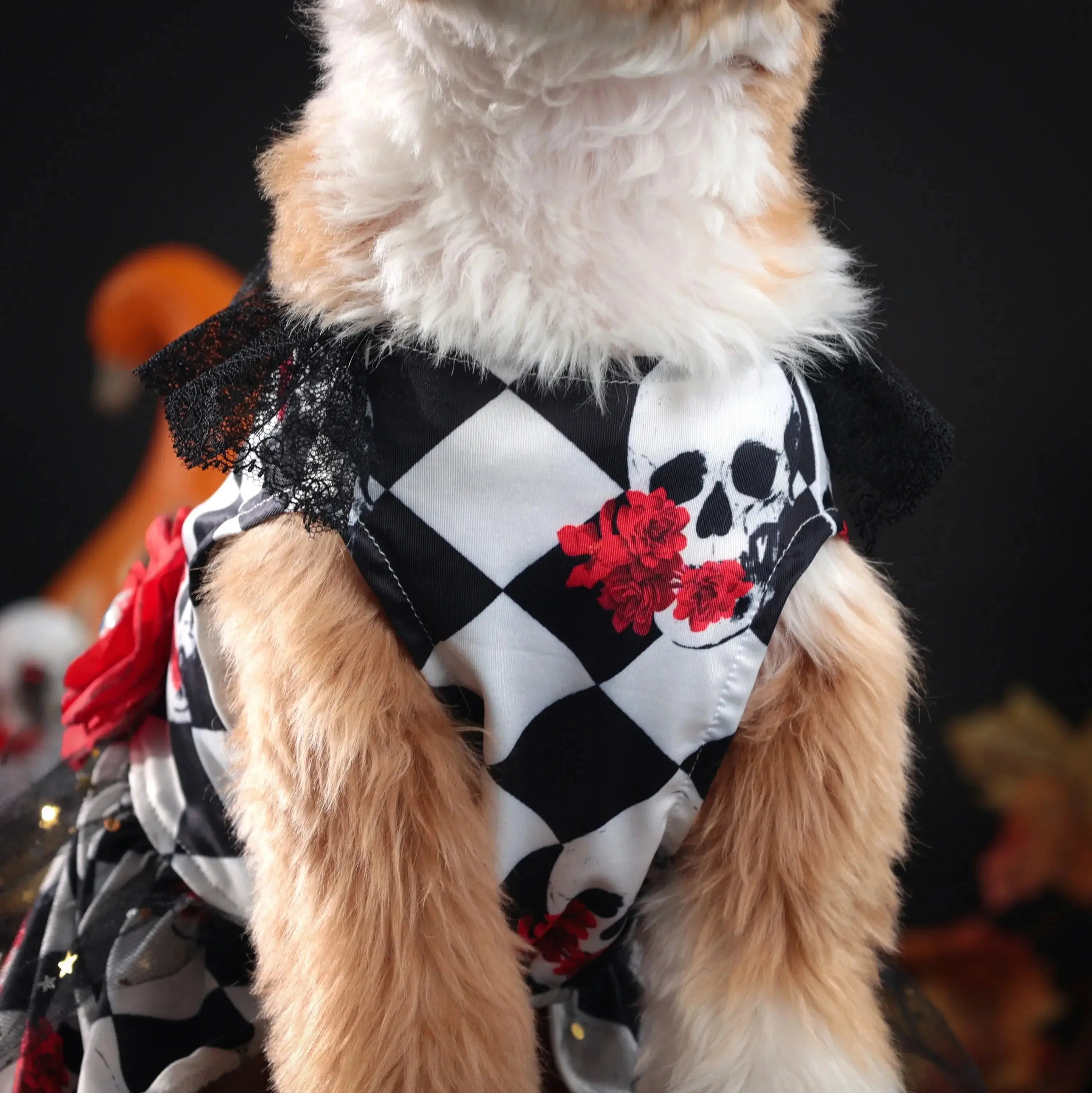 New Fun Dog Halloween Costume Pet Lace Hair Proof Dress Dog Clothes Gift Dog Dress Nova Trendz