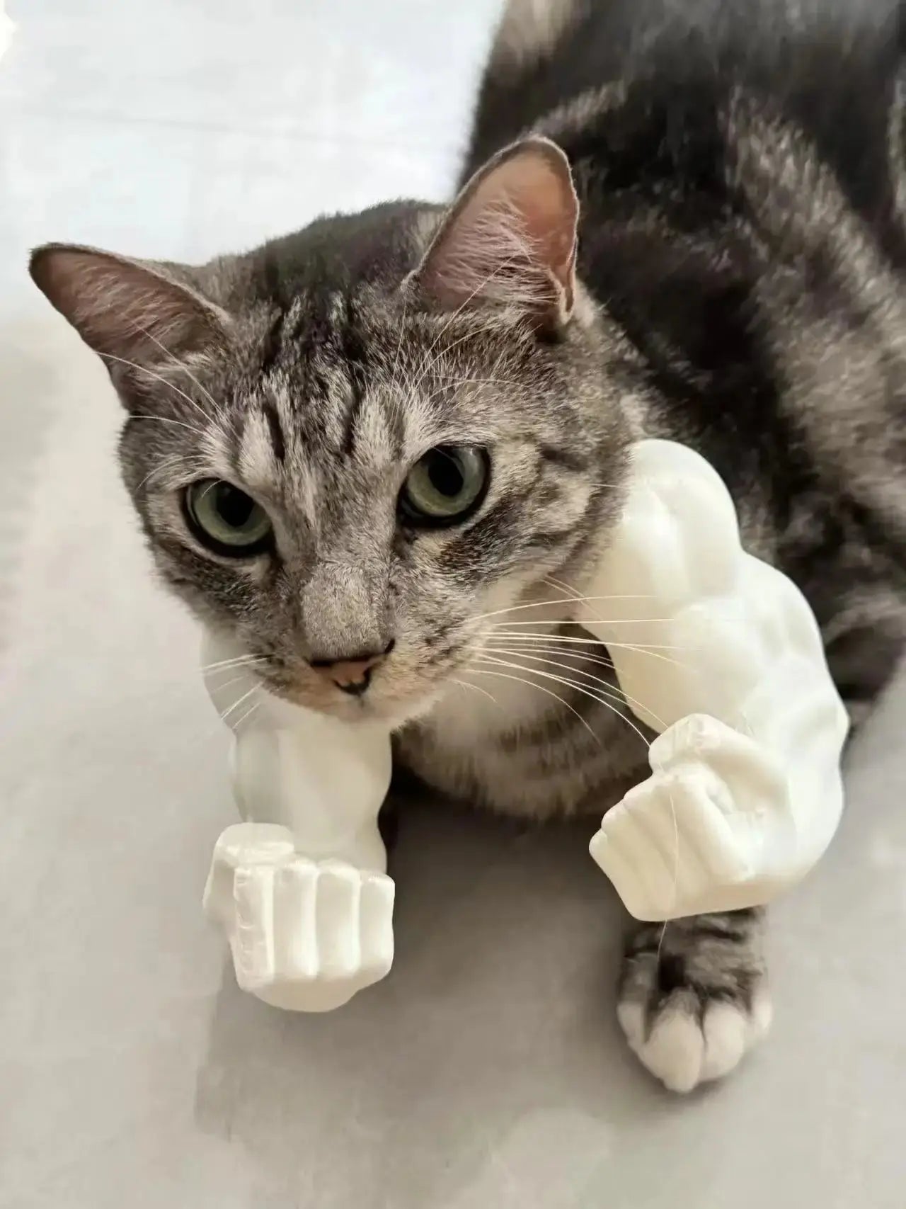 Cat Muscle Arms With Muscle 3D Printed Funny Cat's Neck Giant Arm Creative Arm For Pet Cosplay Halloween Costume Party Accessory Nova Trendz