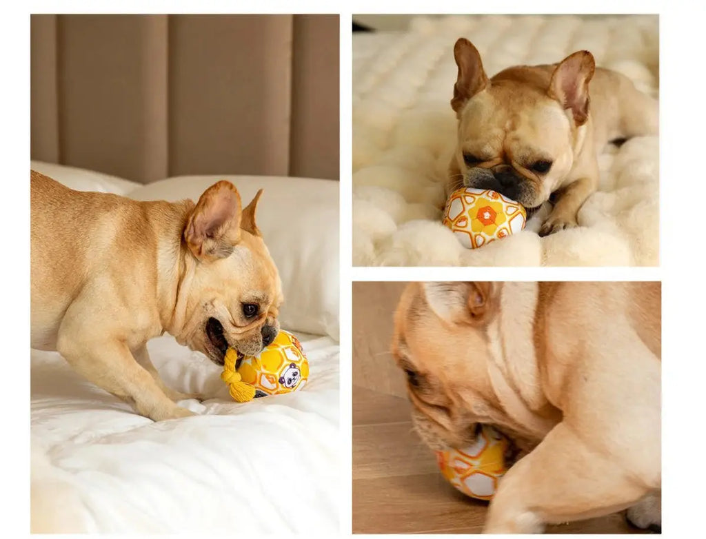 Pet Interactive Bell - ringing Plush Chew Ball for Dogs - with Rope Knot, PP Cotton Filling, Solve Boredom & Teethin - Nova Trendz