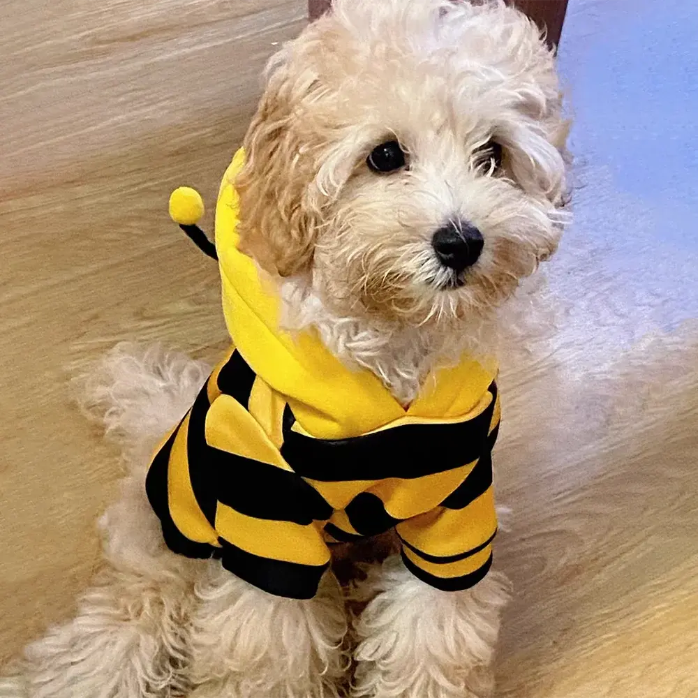 Bee Pet Puppy Coat Apparel Outfit Dog Halloween Hoodies Winter Cat Cosplay Costume Holiday Outfit for Small Medium Dogs & Cats - Nova Trendz