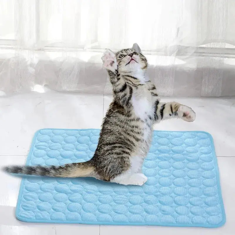 Pet Ice Mats Summer Cat Dog Sofa Nest Bed Cooling Sleeping Pad for Small Dogs Pets Durable Sofa Cooling Pad Blanket Nova Trendz