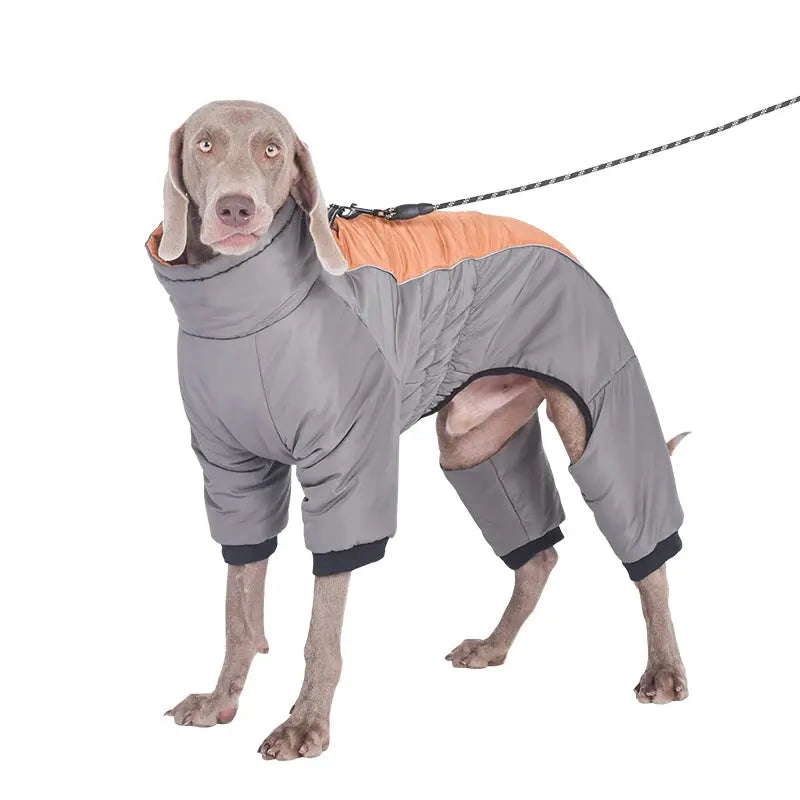 Waterproof Pet Dog Winter Jumpsuit Warm Medium Large Dogs Winter Jacket Clothes Labrador Bulldog Golden Retriever Costumes - Nova Trendz