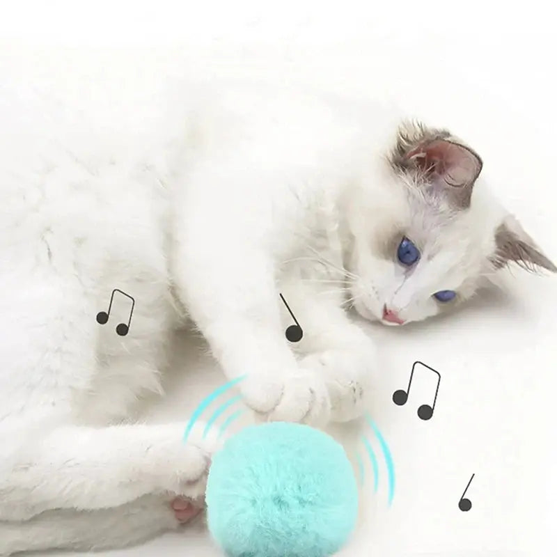 Interactive Ball Smart Cat Toys Plush Electric Catnip Training Toy Kitten Touch Sounding Pet Product Squeak Toy Ball - Nova Trendz