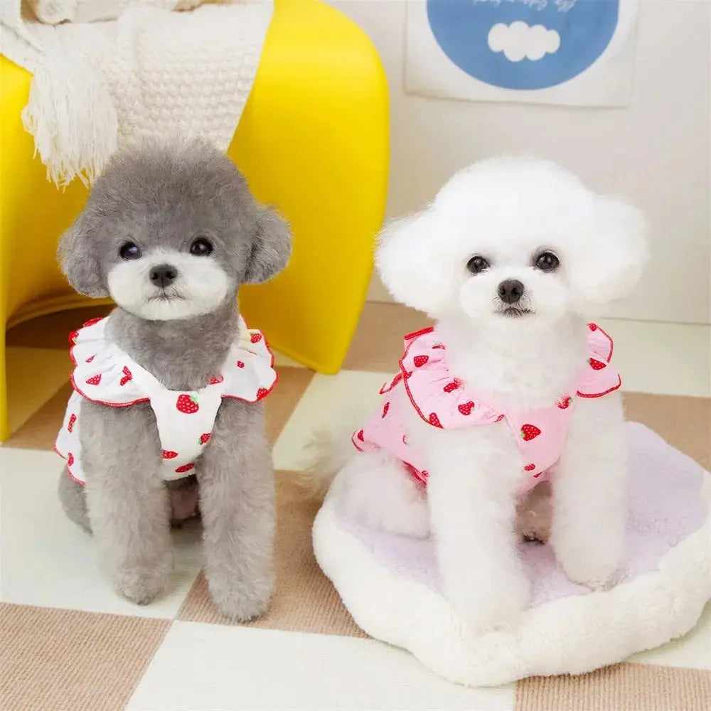 Strawberry Pattern Summer Dress for Dog Pet Clothing Dog Suspender Skirt Cats Puppy Cute Dog Costume Supplies - Nova Trendz
