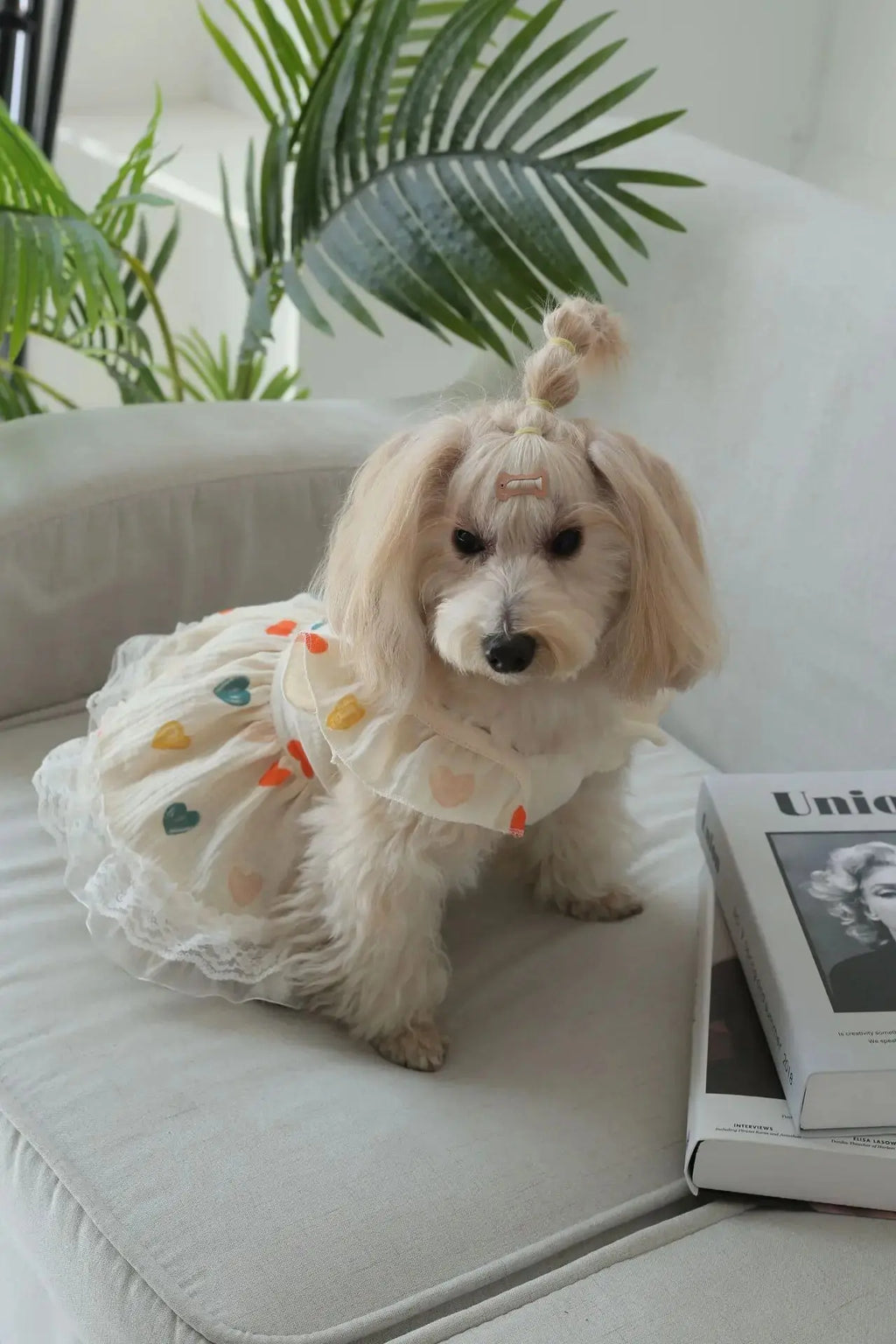 Pet Light Yellow Heart-shaped Little Fly Sleeve Dress Cat and Dog Four Season Vest Puppy Clothes Dog Dresses for Small Dogs - Nova Trendz