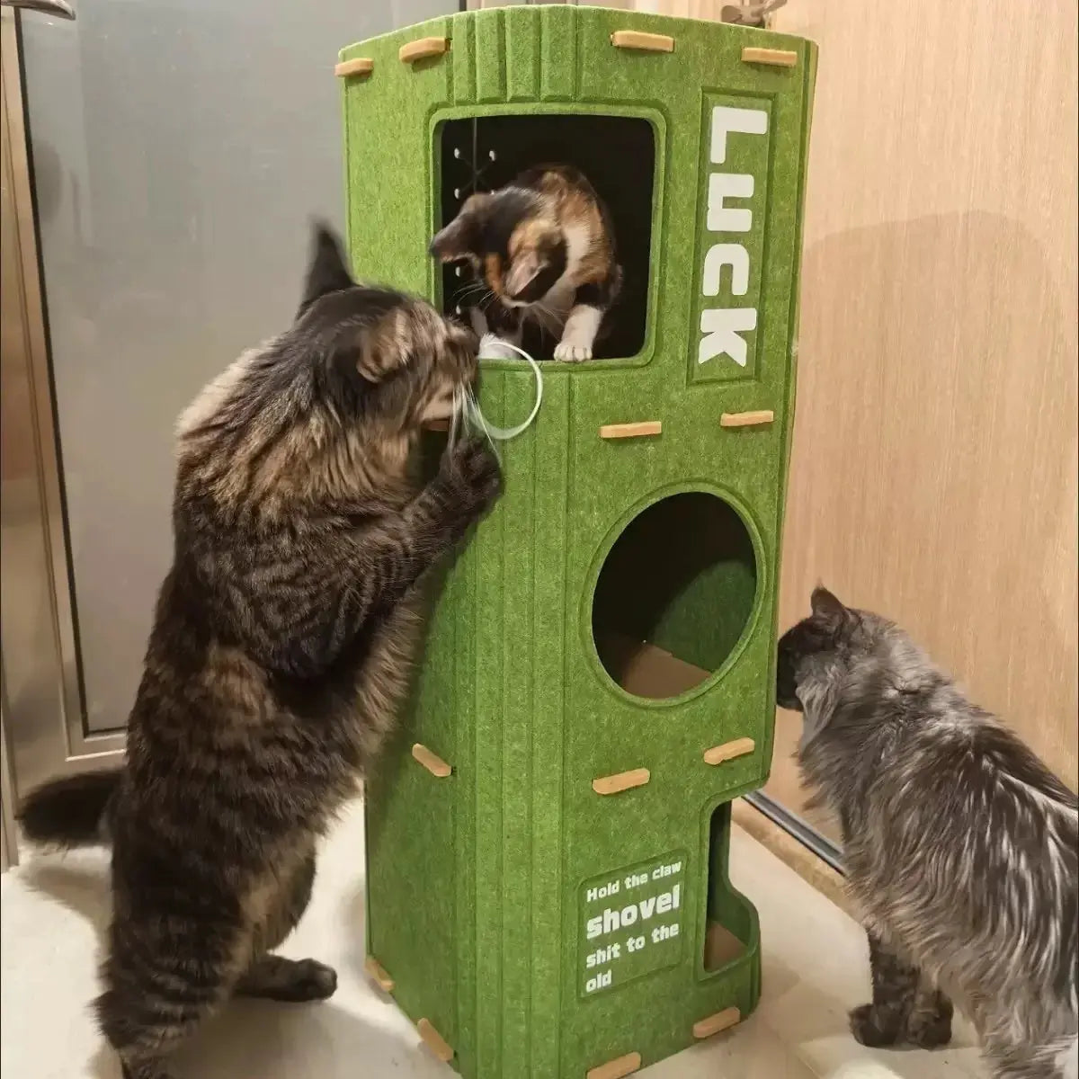Multi-layer Cat House for Indoor Cats Pet Climbing Frame Integrated Cat Tree Double-layer Scratching Board Enclosed Cat House Nova Trendz