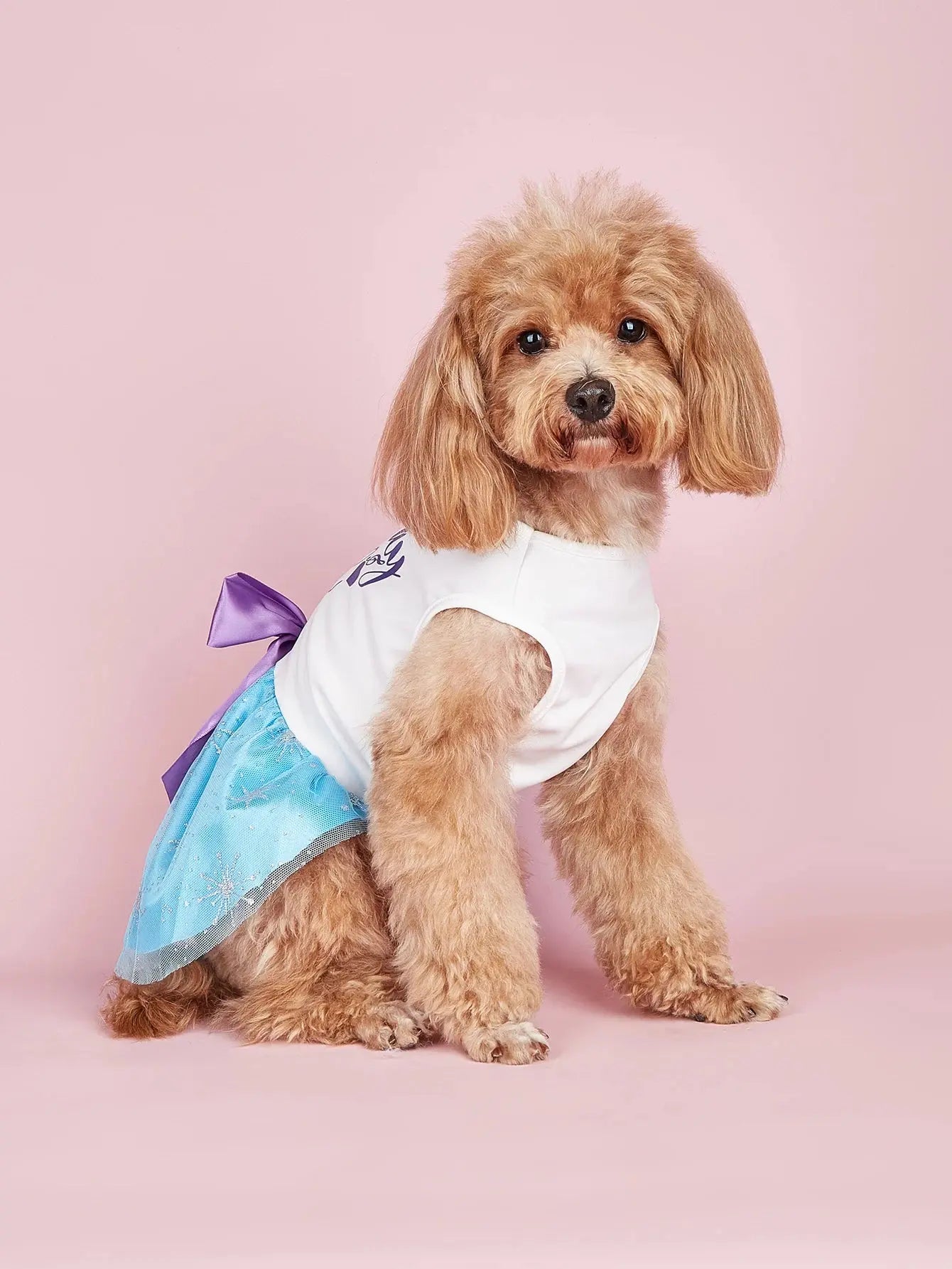 Cute Dog Dress for Small Dogs Girl  Sequin Mesh Summer Tutu Dress Dog Clothes  Cat Apparel Pet Puppy Clothing Doggie Outfits - Nova Trendz