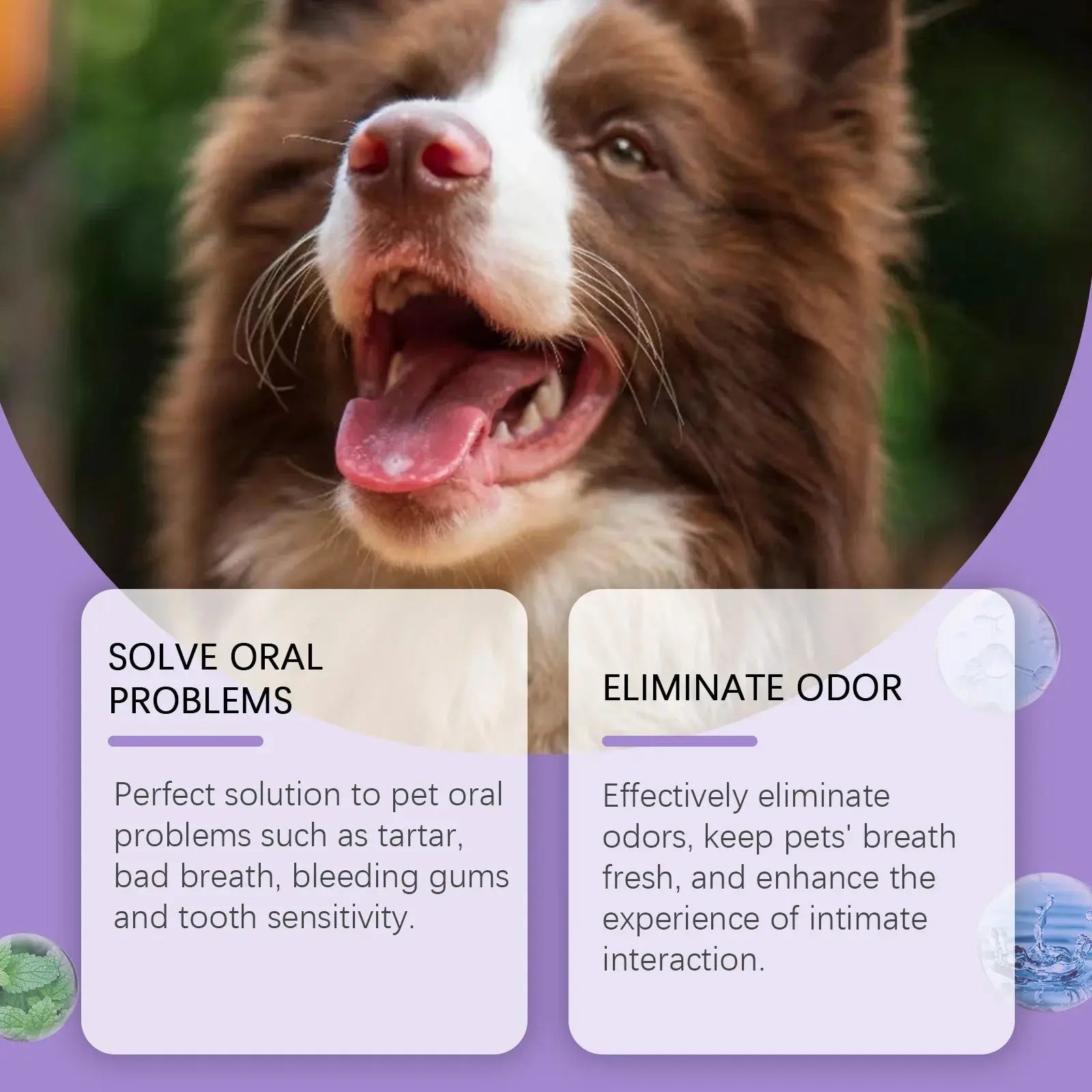 Pet Oral Cleaning Spray 50ml Dogs Cats Teeth Clean Deodorant Prevent Calculus Remove Kitten Bad Breath Mouth Fresh Pet Supplies - Nova Trendz