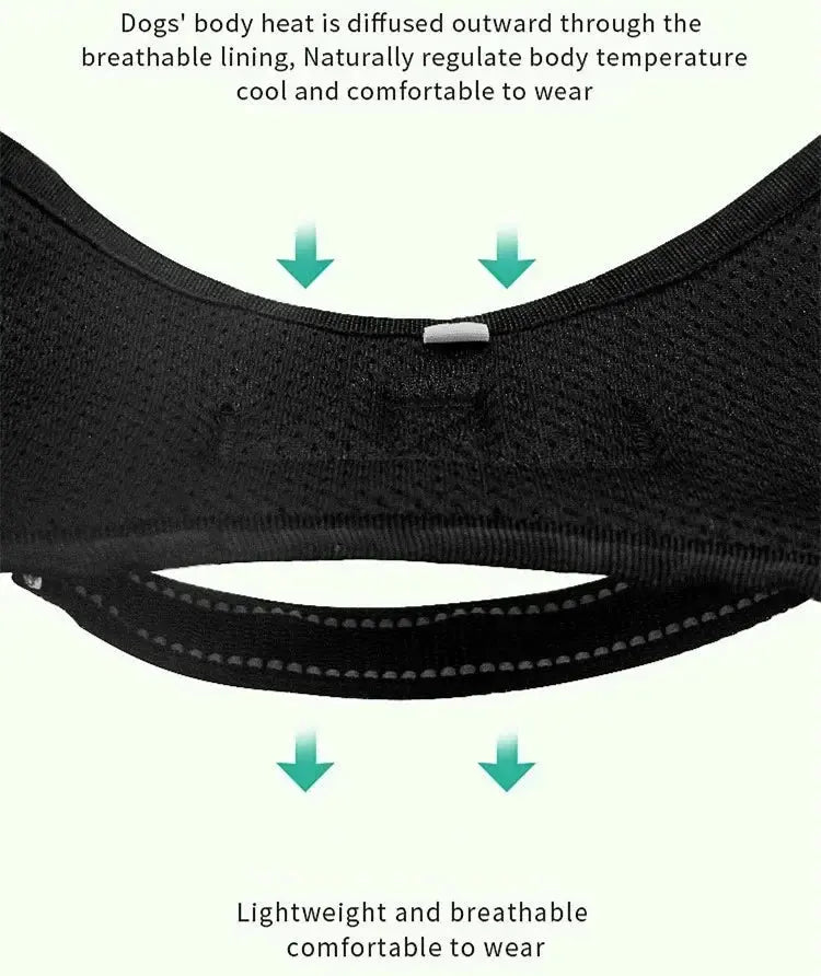 Personalized Dog Harness Nylon Reflective Breathable Pet Harness Vest For Small Large Dogs outdoor Walk Training Accessories - Nova Trendz