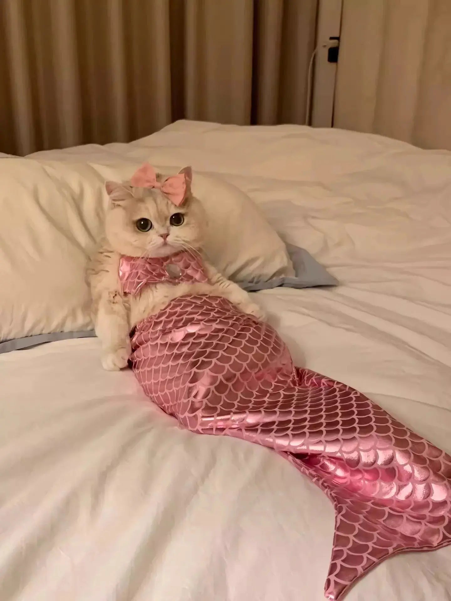 Cat Mermaid Crossdressing Funny Swimsuit Fish Tail Shape Cute Bikini Dog Pet Clothes Pet Halloween Costume Cats Clothes - Nova Trendz