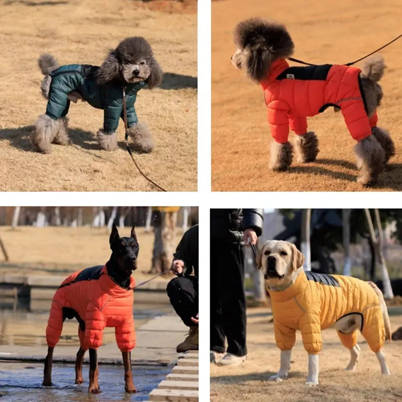 Dog Thicken Cotton-padded Coat Pet Warm Down Jacket Windproof 4 Legs Pet Outfit Winter Greyhound Husky Corgi Chihuahua Clothes - Nova Trendz