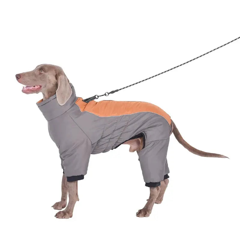 Waterproof Pet Dog Winter Jumpsuit Warm Medium Large Dogs Winter Jacket Clothes Labrador Bulldog Golden Retriever Costumes - Nova Trendz