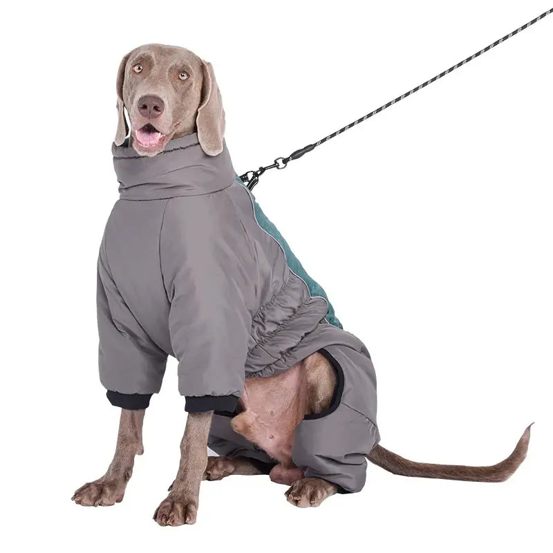 Waterproof Pet Dog Winter Jumpsuit Warm Medium Large Dogs Winter Jacket Clothes Labrador Bulldog Golden Retriever Costumes - Nova Trendz