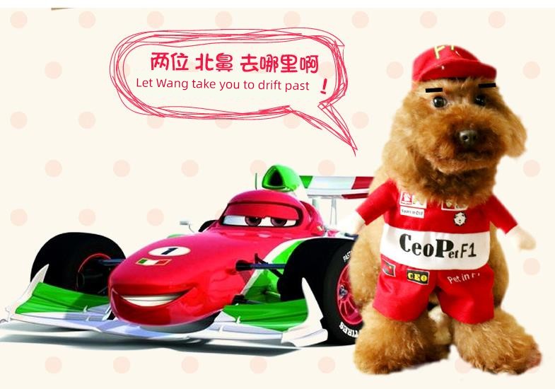 Cat Clothes Dog Clothes Teddy British Shorthair Pet Costume Funny Selling Cute Upright Pet Costume Spring and Summer Clothes Hot