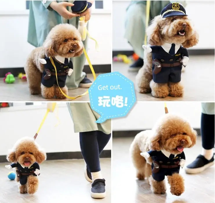 Cat Clothes Dog Clothes Teddy British Shorthair Pet Costume Funny Selling Cute Upright Pet Costume Spring and Summer Clothes Hot Nova Trendz