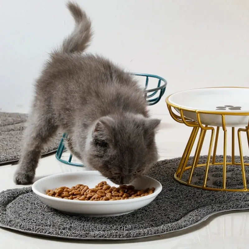 Ceramic For Dog Cat Puppy Kitten Elevated Cat Feeder Drinker Pet Feeder Bowl Pet Supplies Cat Food Bowl Water Feeder Container Nova Trendz