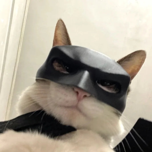 New Bat Cat Avenger Mask 3d Printed Cosplay Costume Helmet Toy Halloween Party Headwear Pet Dog Mask Helmet Prop