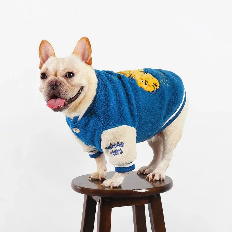 Thickened Warm Baseball Jacket, Pet Clothes, Autumn and Winter - Nova Trendz