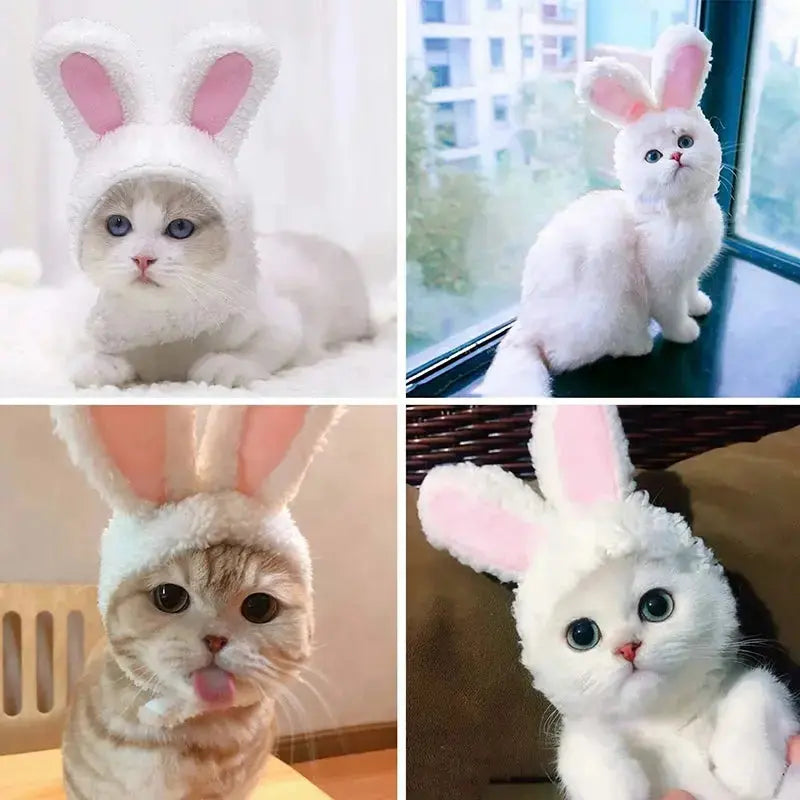 Cat Cosplay Dress Up Pet Hat Lion Mane for Cat Puppy Lion Wig Costume Party Decoration Halloween Christmas GatosPet Supplies Nova Trendz