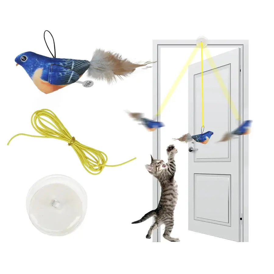 Random color Queaky Feathered Bird Cat Toy - Interactive Play and Chirp for Kittens, No Battery Needed, Ideal for Medium Breeds Nova Trendz