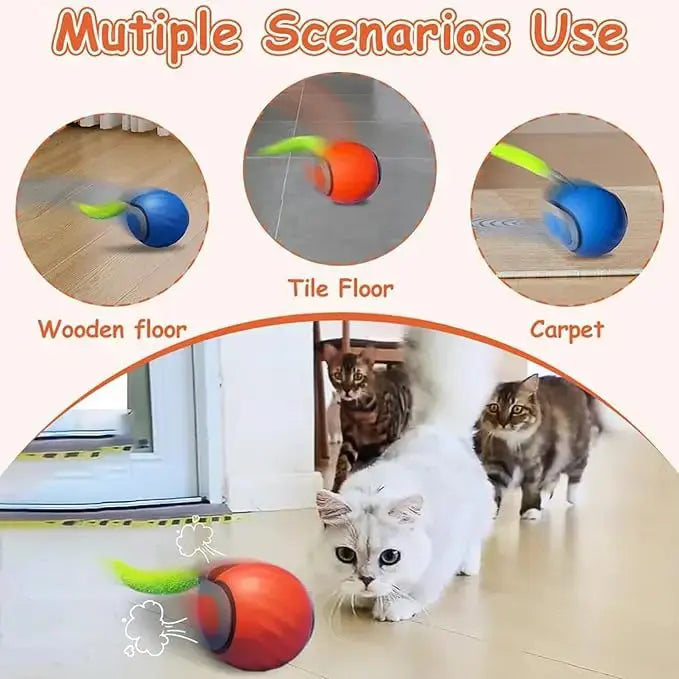 New Interactive Cat Toys Ball Auto Electric Rolling Ball Toys for Cat Kitty Pet Smart Automatic Teaser USB Rechargeable Cat Toy - Nova Trendz