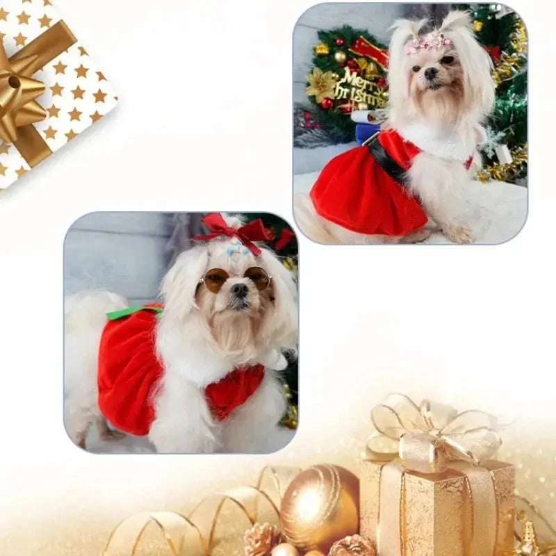 Pet Christmas Clothing Dog Cat Red Dress Warm Bow Frock Golden Velvet Fabric Santa Claus Clothes Dogs Cats Garment Pets Supplies - Nova Trendz
