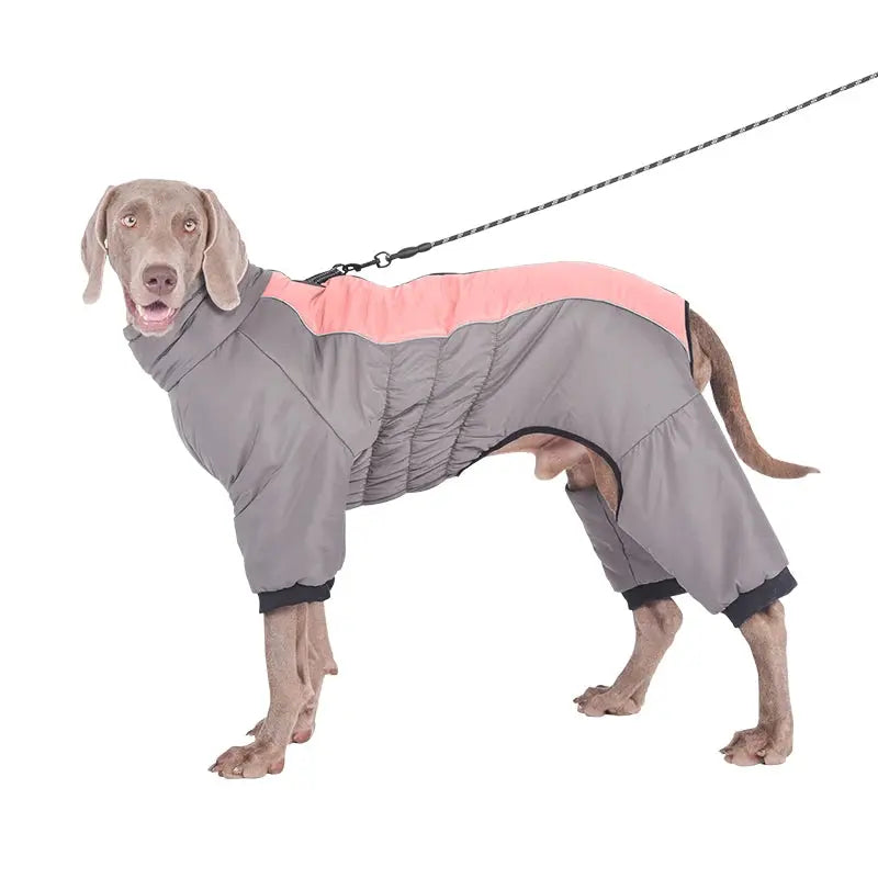 Waterproof Pet Dog Winter Jumpsuit Warm Medium Large Dogs Winter Jacket Clothes Labrador Bulldog Golden Retriever Costumes - Nova Trendz