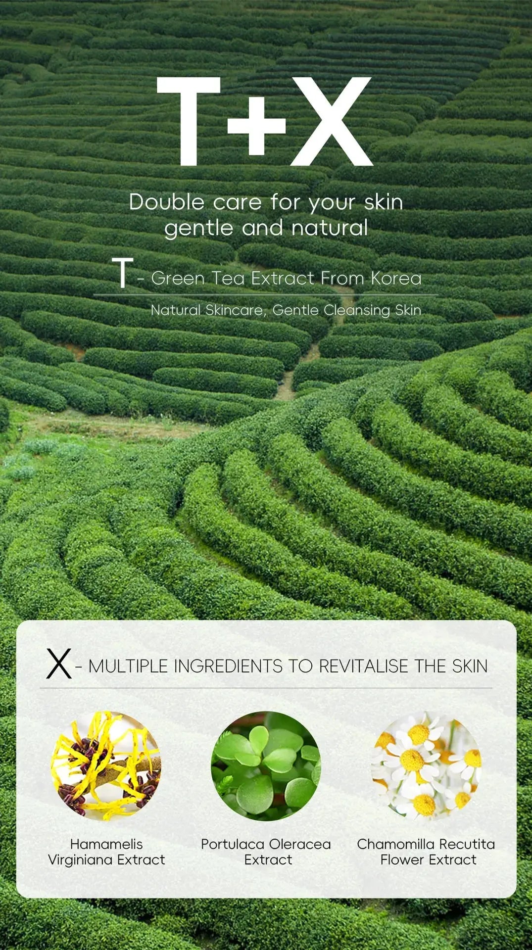 Green Tea Facial Cleanser 50g Skin Deep Cleansing Moisturizing Blackhead Removal Skincare Face Wash Foam Face Cleanser Skin Care - Nova Trendz