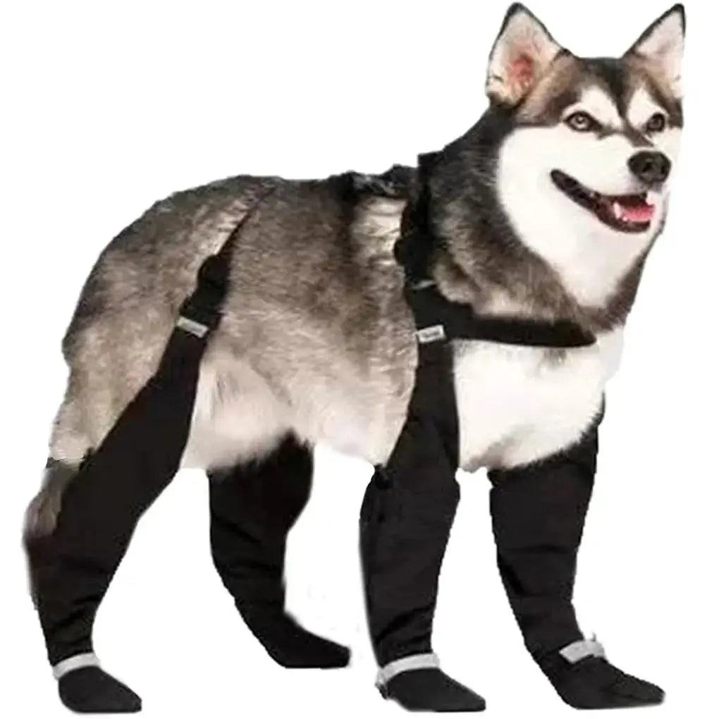Reflective Dog Boots Shoes For Dogs Non-slip Pets Paws Protector Adjustable Walking Shoes Suspender Boots Outdoor Pet Sneakers Nova Trendz