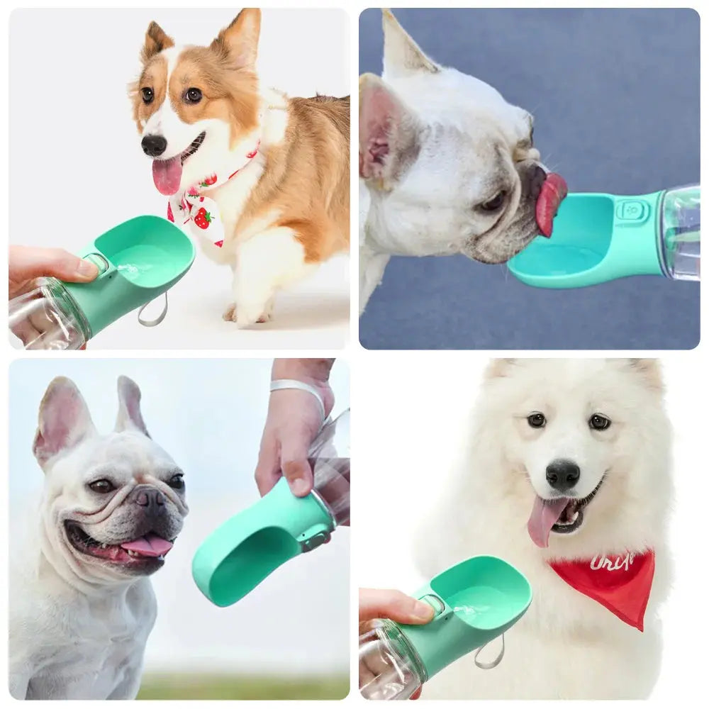 Portable Dog Water Bottle For Small Large Dogs Bowl Outdoor Walking Puppy Pet Travel Water Bottle Cat Drinking Bowl Dog Supplies Nova Trendz